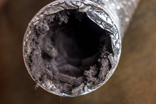 Best Professional Duct Cleaning Services  in Timonium, MD