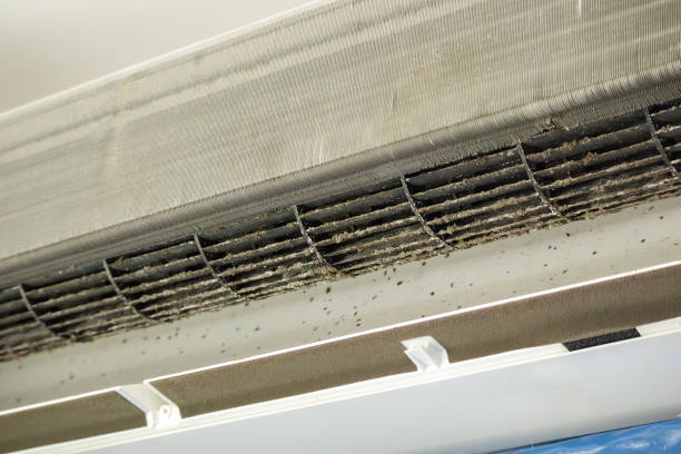 Best Air Duct Cleaning Cost  in Timonium, MD